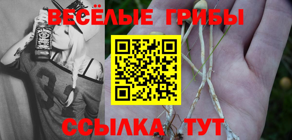 Галлюциногенные грибы GOLDEN TEACHER  Вход с VPN  Кузнецк 
