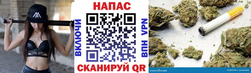Канабис планчик  kraken tor  Кузнецк 