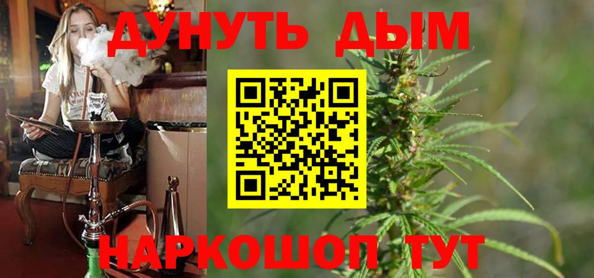 Шишки марихуана сатива  Вход с VPN  Марихуана план  Кузнецк 